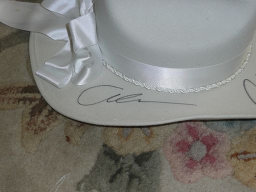 From the Stars Go Blue Benefit - from Rosemarie 