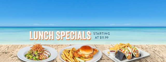 Lunch specials starting at $11.99. Click to learn more