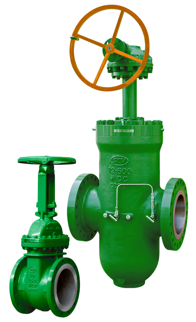 Geothermal Gate Valves