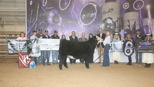 3rd Overall Heifer