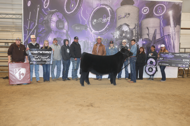 3rd Overall Market Heifer