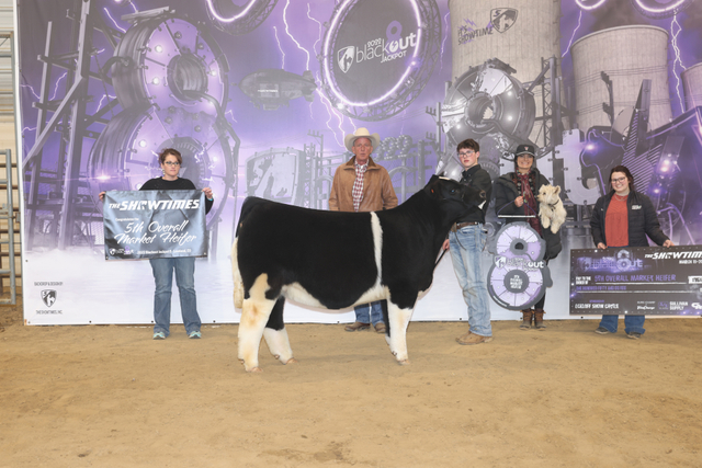 5th Overall Market Heifer