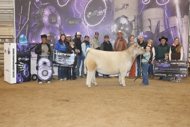 Grand Champion Market Heifer