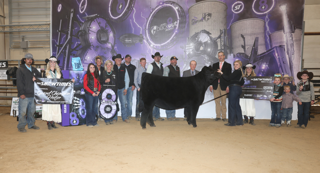 Grand Champion Heifer