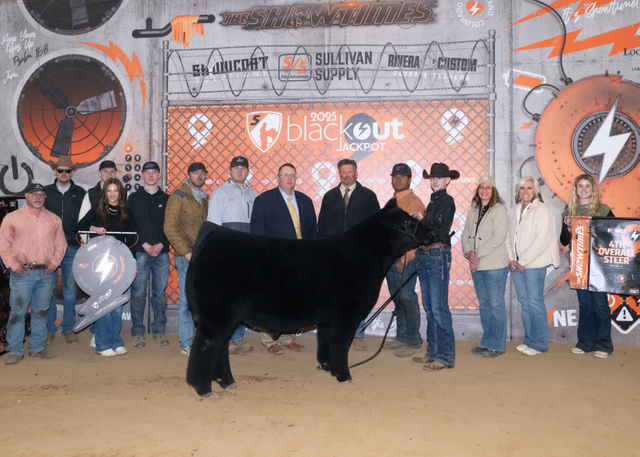 Grand Champion Steer Light Ring