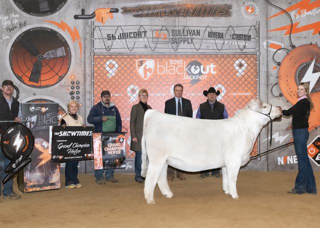 Grand Champion Heifer Power Ring