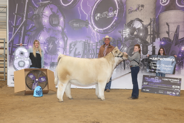Reserve Champion Market Heifer