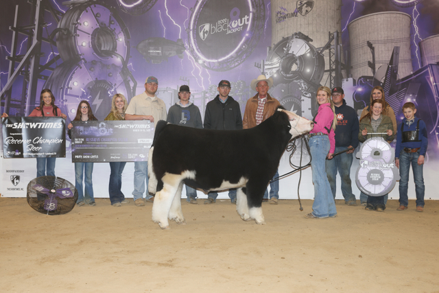 Reserve Champion Steer
