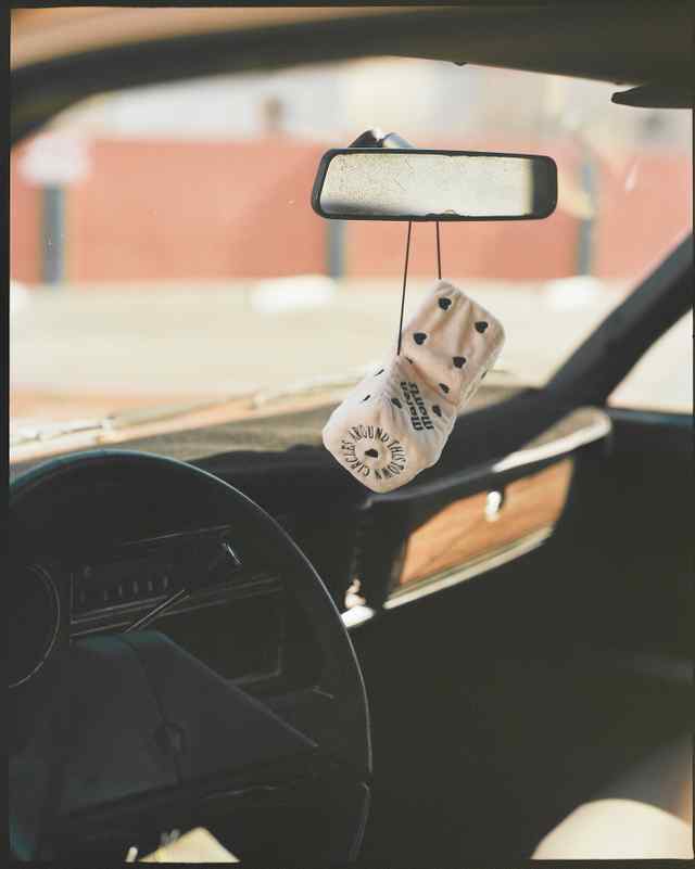 CIRCLES CAR DICE