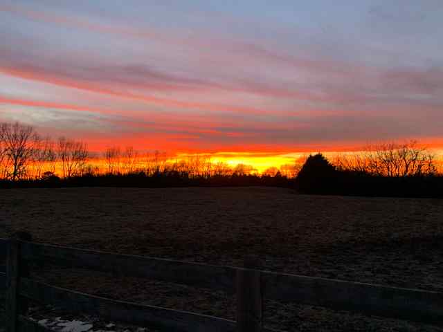 2019: Last Christmas