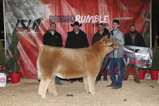 12_ring_a_3rd_overall_steer_ch_aob_george_sinclair_6659_1590763732_6963_1590771331.jpg 12_ring_a_3rd_overall_steer_ch_aob_george_sinclair_6659_1590763732_6963_1590771331.jpg