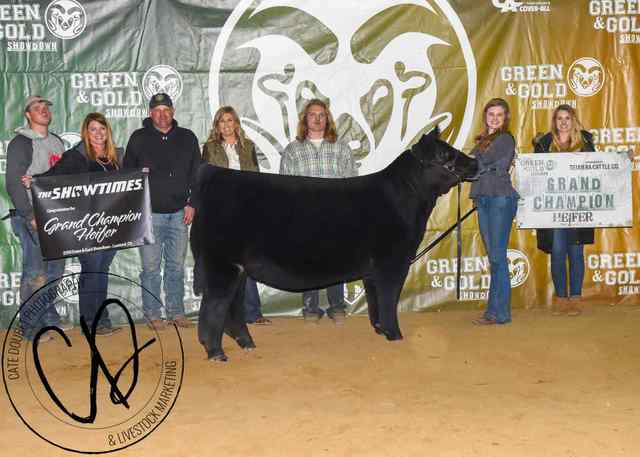 1heifer_6657_1590763704_6971_1590771332.jpg 1heifer_6657_1590763704_6971_1590771332.jpg