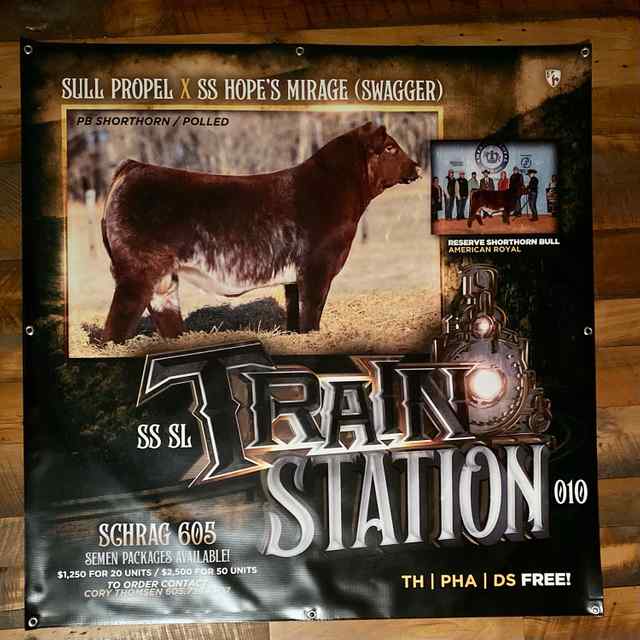 2 Showtimes_CoverAll_OKC Signs and Banners_18.jpg 2 Showtimes_CoverAll_OKC Signs and Banners_18.jpg