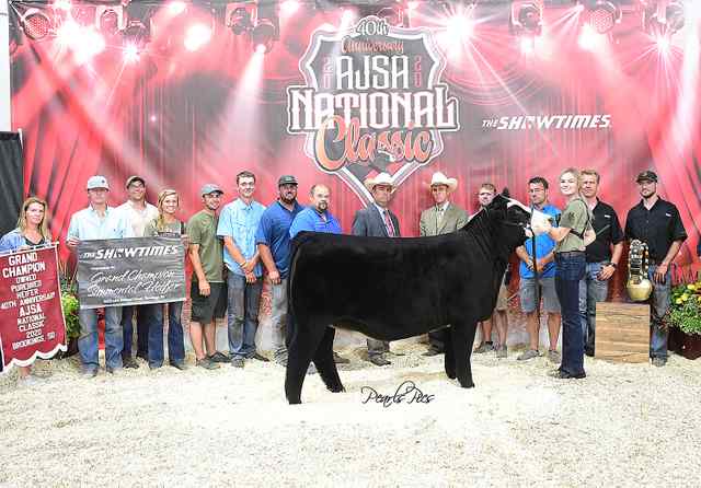 2020 Jr National Champion Simmental America Sara Sullivan.JPG 2020 Jr National Champion Simmental America Sara Sullivan.JPG