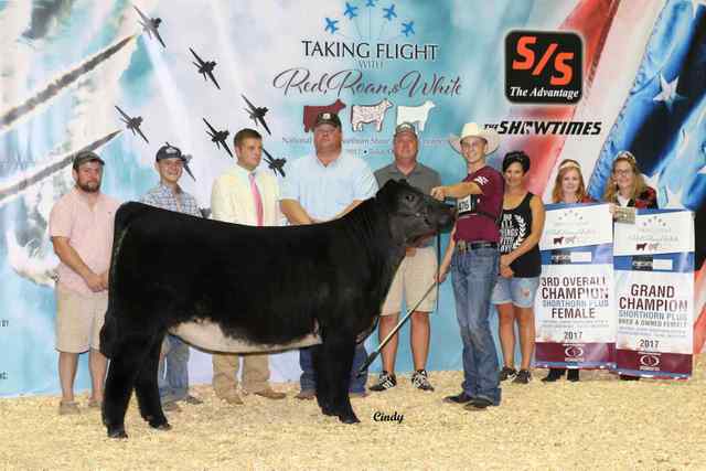 28_gr_ch_b_o_plus_female_kolt_blue_the_roo_kane_aegerter_6760_1590765134_6939_1590771325.jpg 28_gr_ch_b_o_plus_female_kolt_blue_the_roo_kane_aegerter_6760_1590765134_6939_1590771325.jpg