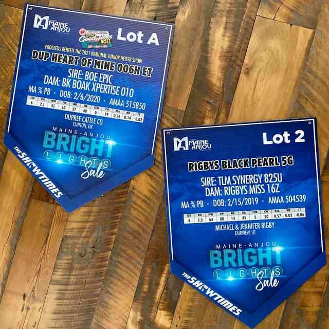 4 Showtimes_CoverAll_OKC Signs and Banners_4.jpg 4 Showtimes_CoverAll_OKC Signs and Banners_4.jpg