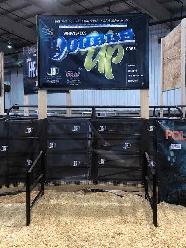 4ST_Coverall_Bull Display Examples.jpg 4ST_Coverall_Bull Display Examples.jpg