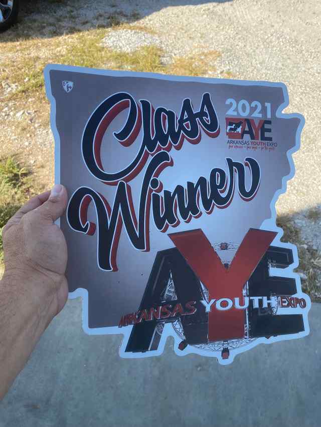 65447048128__184724FC_16A4_4283_B8A1_B00895CC7F1D.jpg 65447048128__184724FC_16A4_4283_B8A1_B00895CC7F1D.jpg