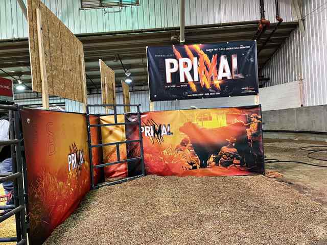 6ST_Coverall_Bull Display Examples.jpg 6ST_Coverall_Bull Display Examples.jpg