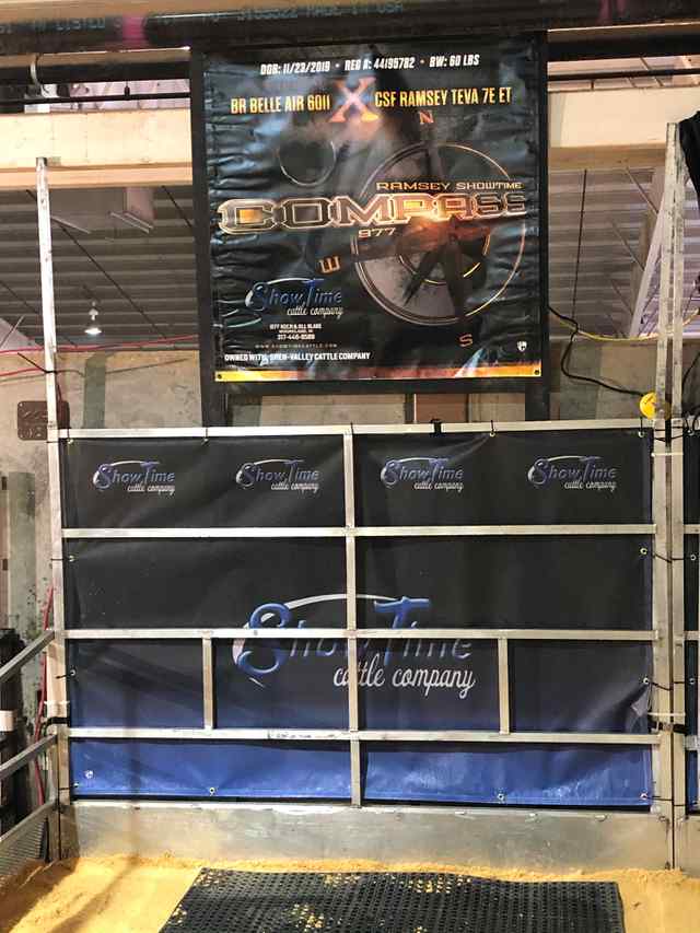 7ST_Coverall_Bull Display Examples.jpg 7ST_Coverall_Bull Display Examples.jpg