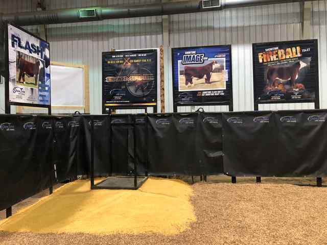 8ST_Coverall_Bull Display Examples.jpg 8ST_Coverall_Bull Display Examples.jpg