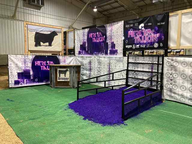 9ST_Coverall_Bull Display Examples.JPG 9ST_Coverall_Bull Display Examples.JPG