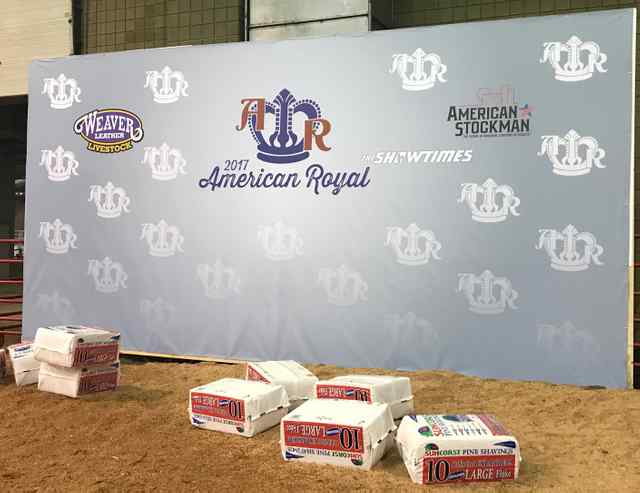 AR_Backdrop_Example.jpg AR_Backdrop_Example.jpg