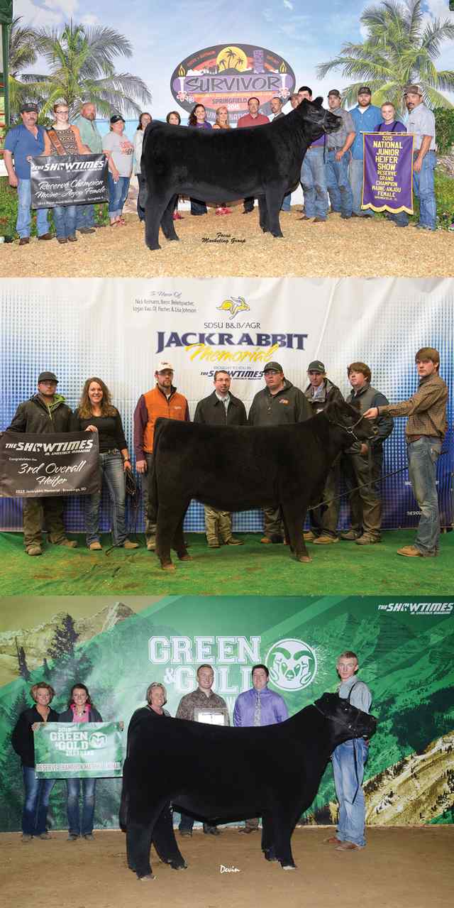 Backdrop_Examples.jpg Backdrop_Examples.jpg