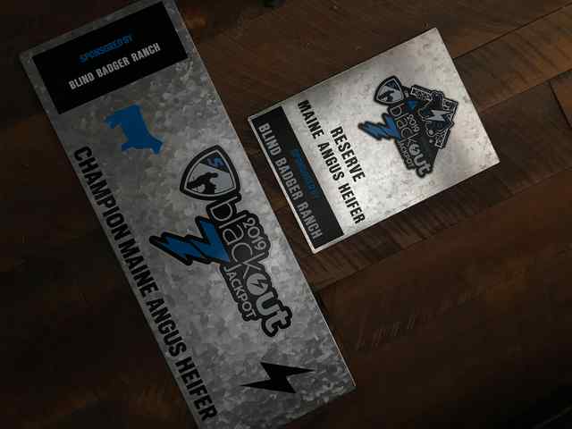 BO7_Divison_Galvanized_Metal.jpg BO7_Divison_Galvanized_Metal.jpg