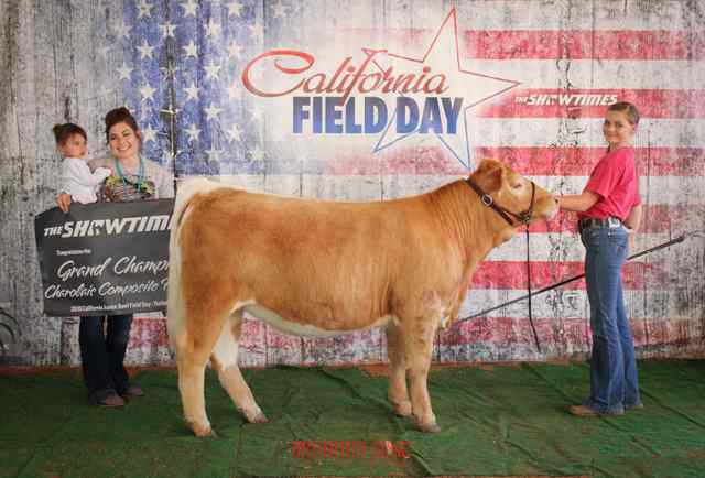 champion_composite_6670_1590763968_6975_1590771332.jpg champion_composite_6670_1590763968_6975_1590771332.jpg