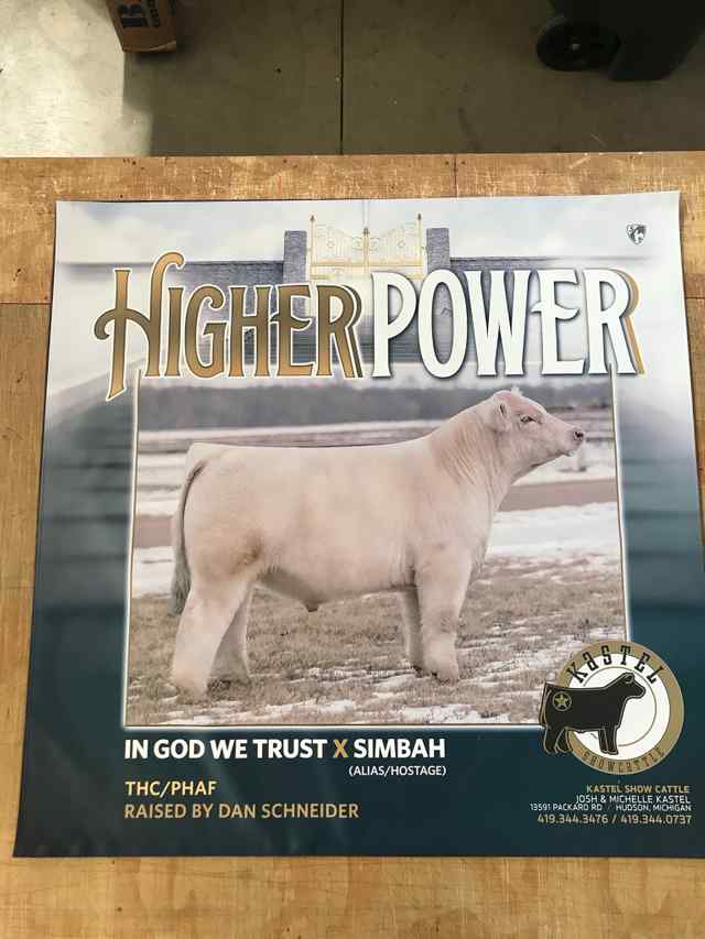 coverall_signs_and_banners_16_6867_1590769536.jpg coverall_signs_and_banners_16_6867_1590769536.jpg