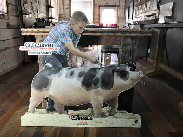 coverall_signs_and_banners_17_6878_1590769606.jpg coverall_signs_and_banners_17_6878_1590769606.jpg