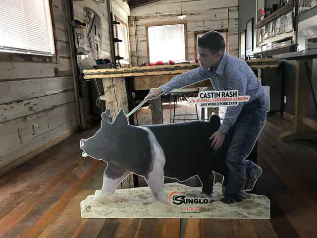 coverall_signs_and_banners_19_6876_1590769604.jpg coverall_signs_and_banners_19_6876_1590769604.jpg