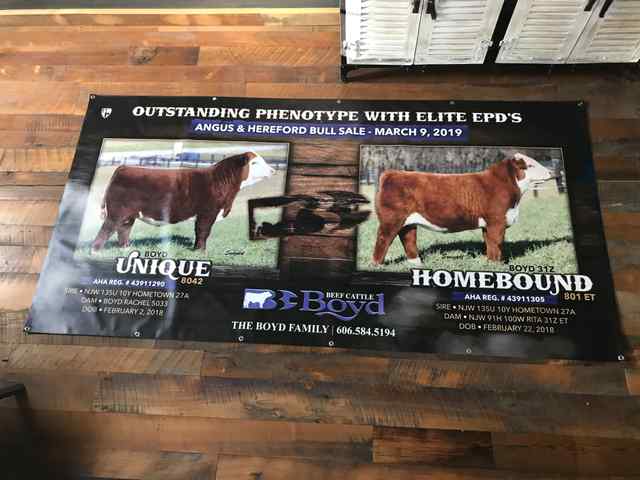 coverall_signs_and_banners_20_6874_1590769593.jpg coverall_signs_and_banners_20_6874_1590769593.jpg