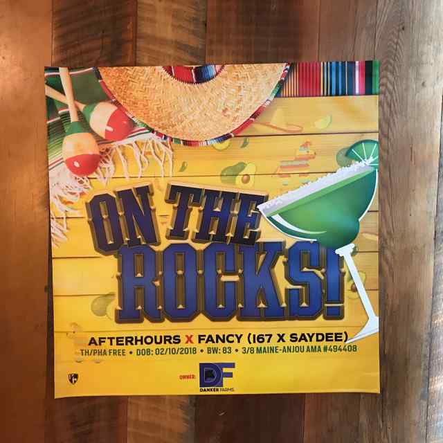 coverall_signs_and_banners_21_6910_1590770094.jpg coverall_signs_and_banners_21_6910_1590770094.jpg