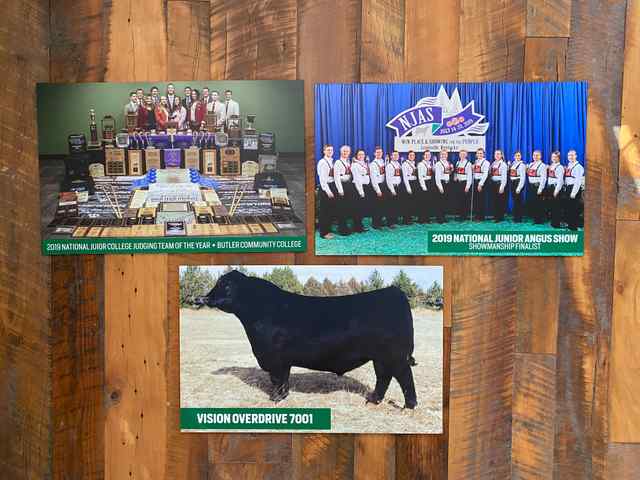 coverall_signs_and_banners_52_7161_1590849081.jpg coverall_signs_and_banners_52_7161_1590849081.jpg