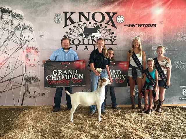 coverall_signs_and_banners_9_6842_1590769039.jpg coverall_signs_and_banners_9_6842_1590769039.jpg