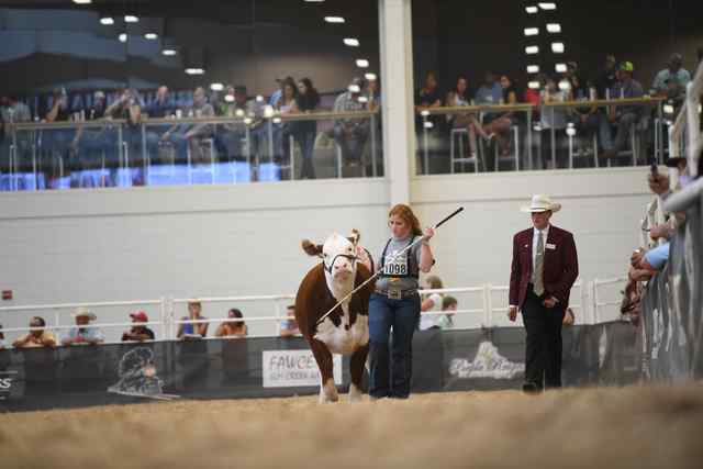 dsc_3646_8311_1597708717.jpg dsc_3646_8311_1597708717.jpg