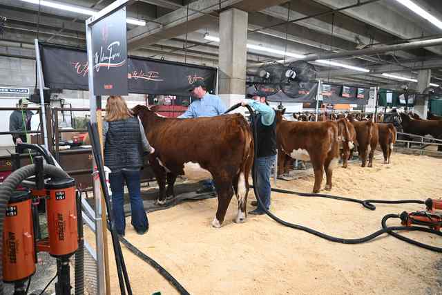 DSC_9055.jpg DSC_9055.jpg