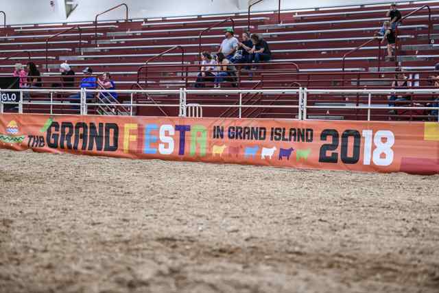 dsc_9758_8314_1597708967.jpg dsc_9758_8314_1597708967.jpg