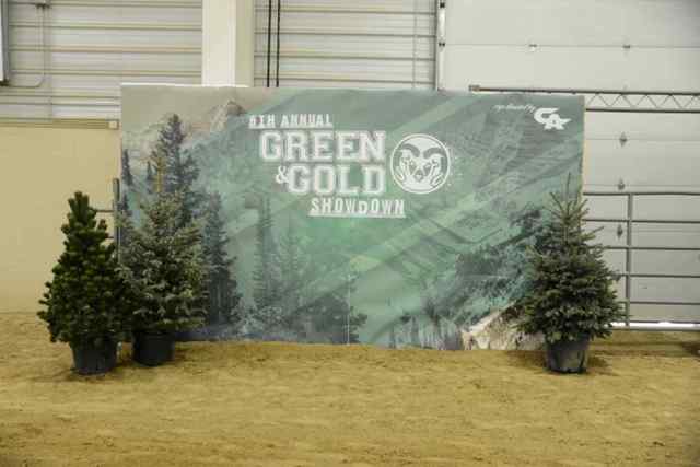 gg_example_backdrop_2_5484_1582833105_6951_1590771330.jpg gg_example_backdrop_2_5484_1582833105_6951_1590771330.jpg