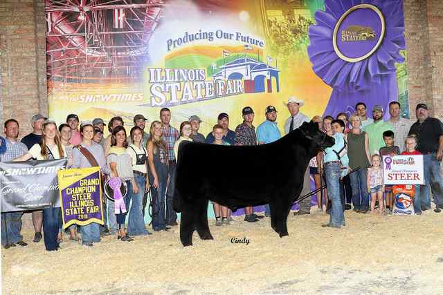 IL_Steer_Example_Backdrop.jpg IL_Steer_Example_Backdrop.jpg