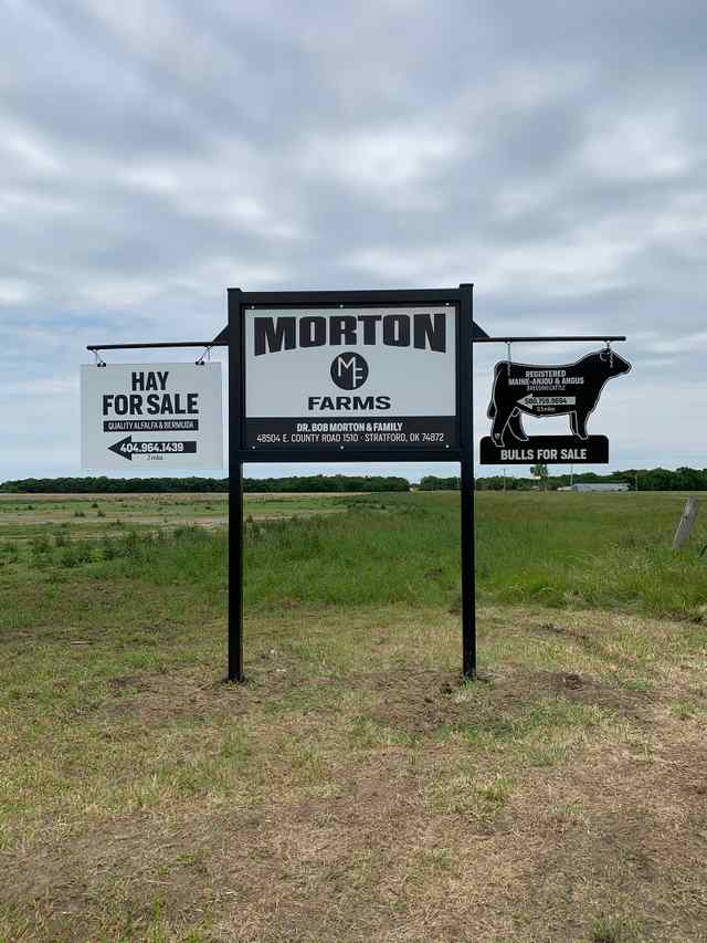 image1.JPEG image1.JPEG