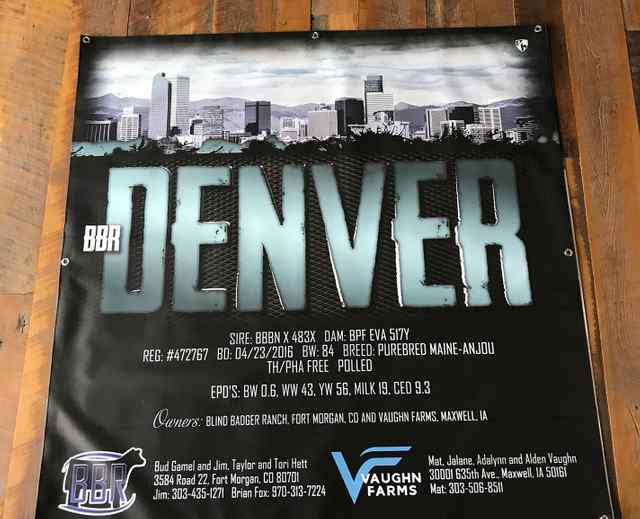 img_0451_crop_u6021_2x_5761_1588863249.jpg img_0451_crop_u6021_2x_5761_1588863249.jpg