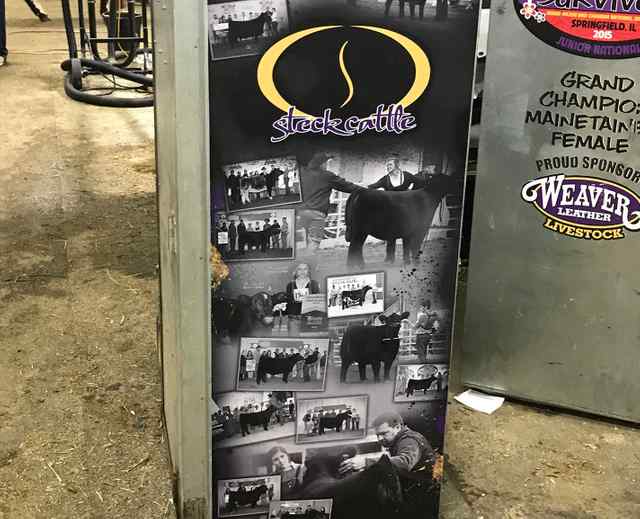 img_0464_crop_u6047_2x_5759_1588863249.jpg img_0464_crop_u6047_2x_5759_1588863249.jpg