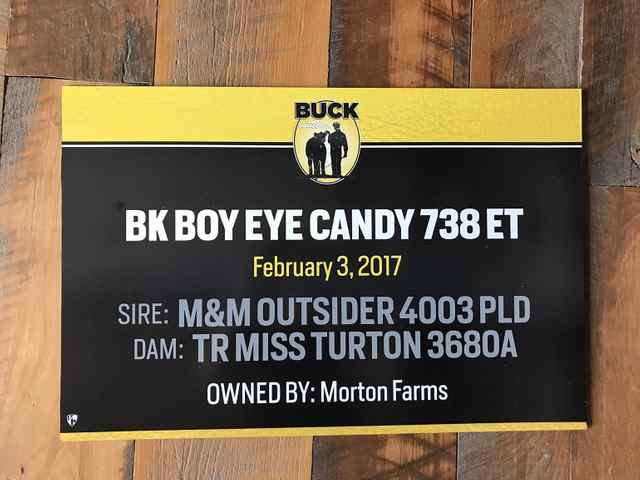 img_0893_2x_5782_1588863252.jpg img_0893_2x_5782_1588863252.jpg