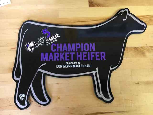 img_1056_2x_5783_1588863253.jpg img_1056_2x_5783_1588863253.jpg