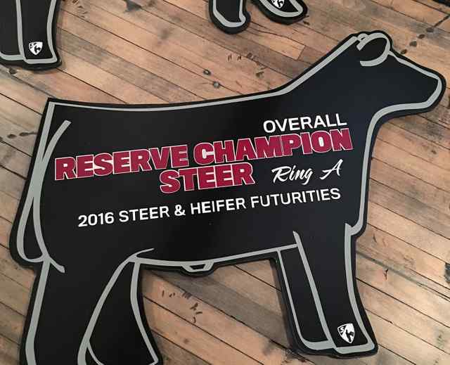 img_1466_crop_u6489_2x_5793_1588863254.jpg img_1466_crop_u6489_2x_5793_1588863254.jpg