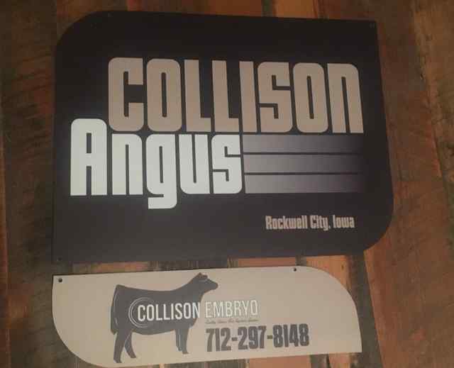 img_2078_crop_u6853_2x_5822_1588863258.jpg img_2078_crop_u6853_2x_5822_1588863258.jpg