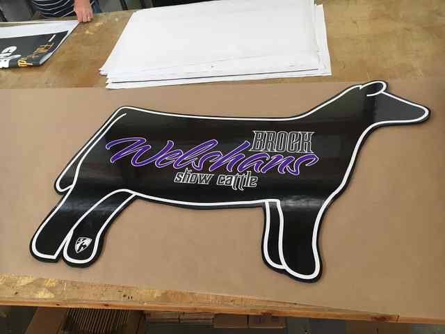 img_2378_2x_5826_1588863259.jpg img_2378_2x_5826_1588863259.jpg